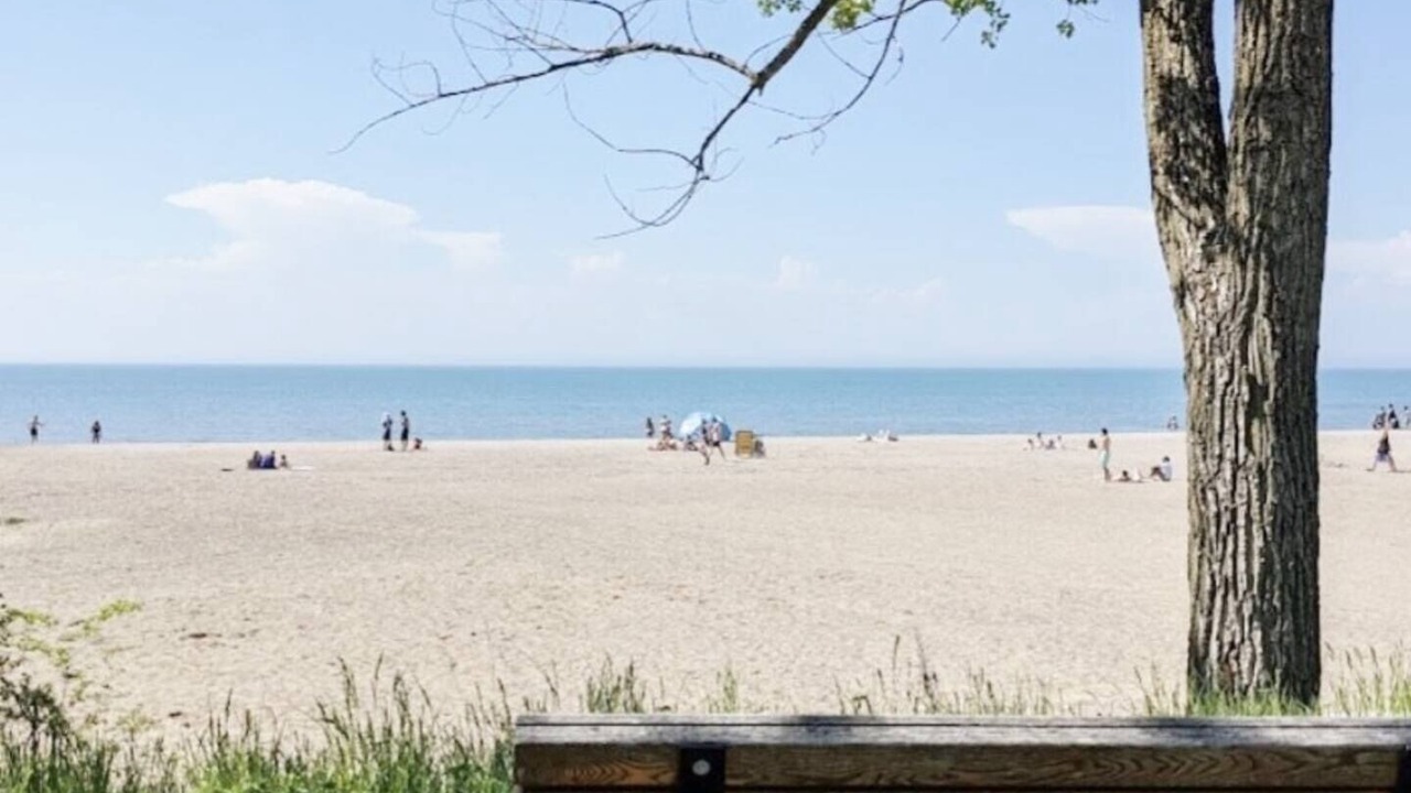 Photo of Others in St. Catharines