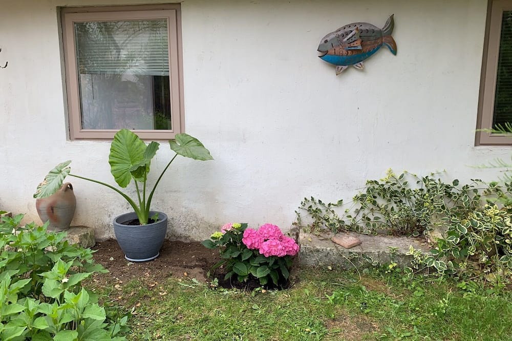 Photo of Outdoor in Mesves-sur-Loire