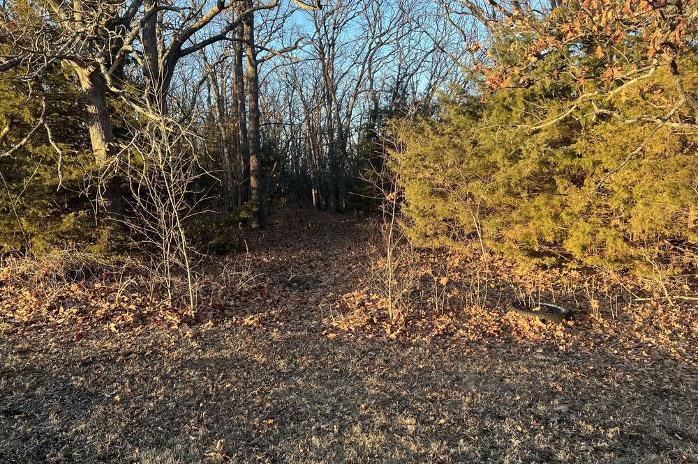 Photo of Outdoor in Neal