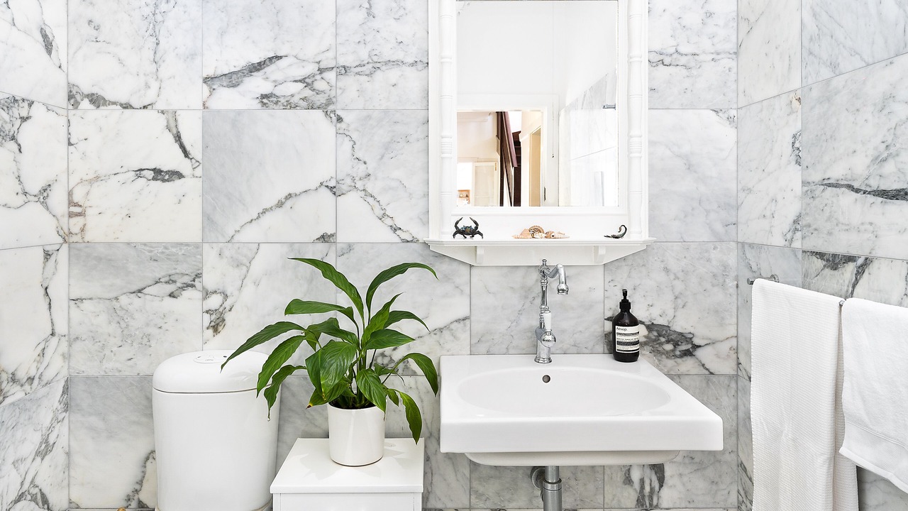 Photo of Others in Dee Why