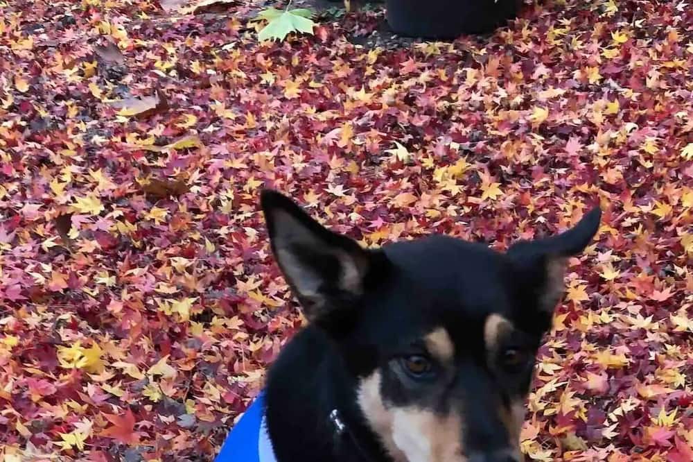 Photo of Others in Burrawang