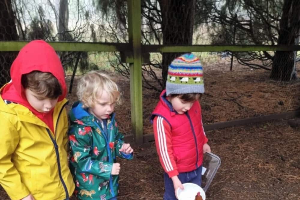 Photo of Outdoor in Burrawang