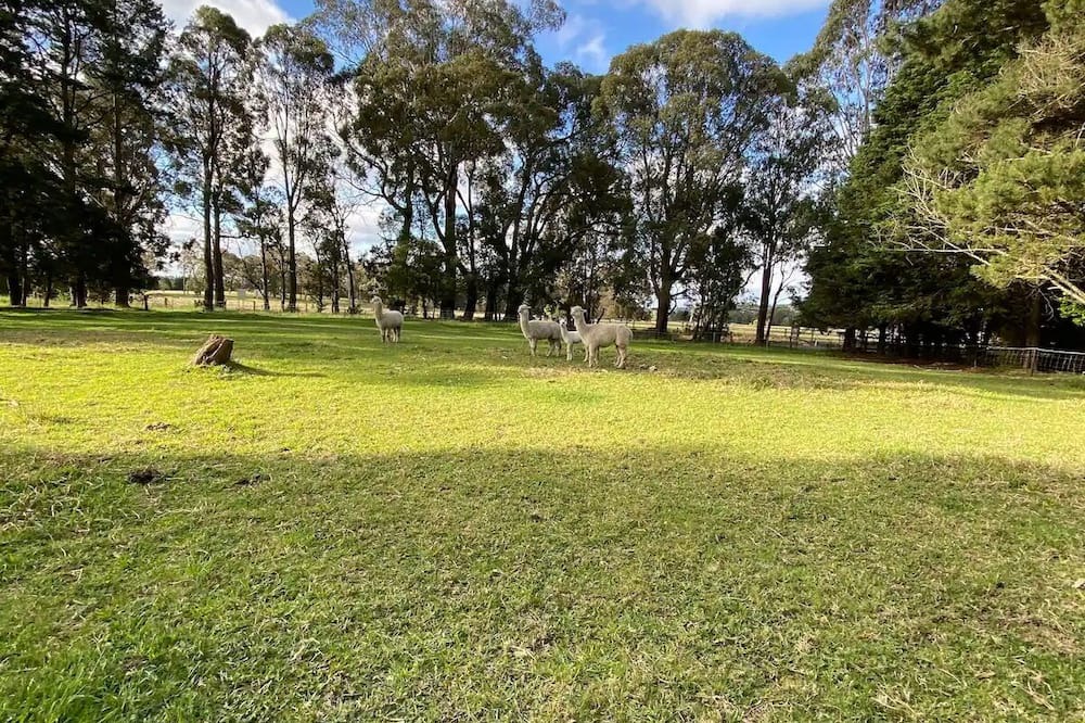 Photo of Others in Burrawang