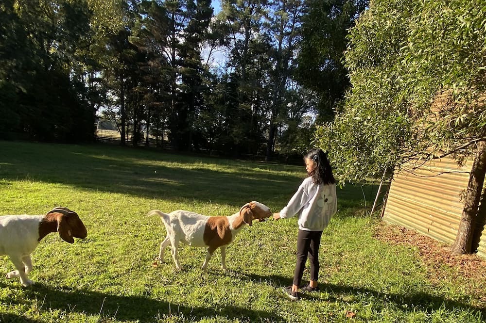 Photo of Outdoor in Burrawang