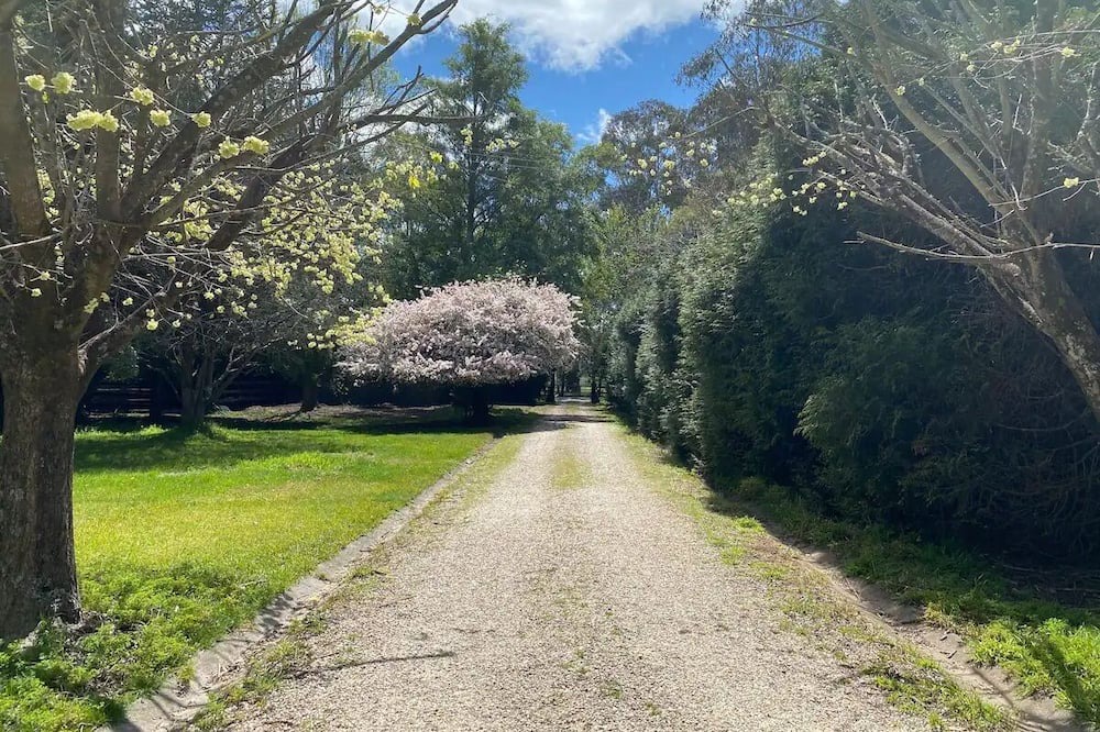 Photo of Outdoor in Burrawang