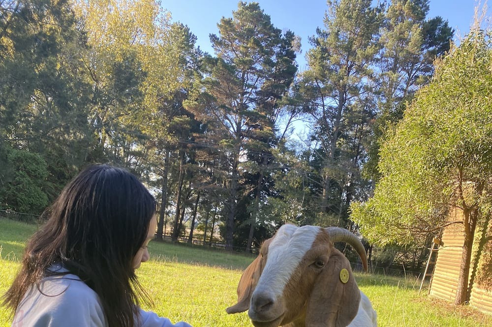 Photo of Outdoor in Burrawang