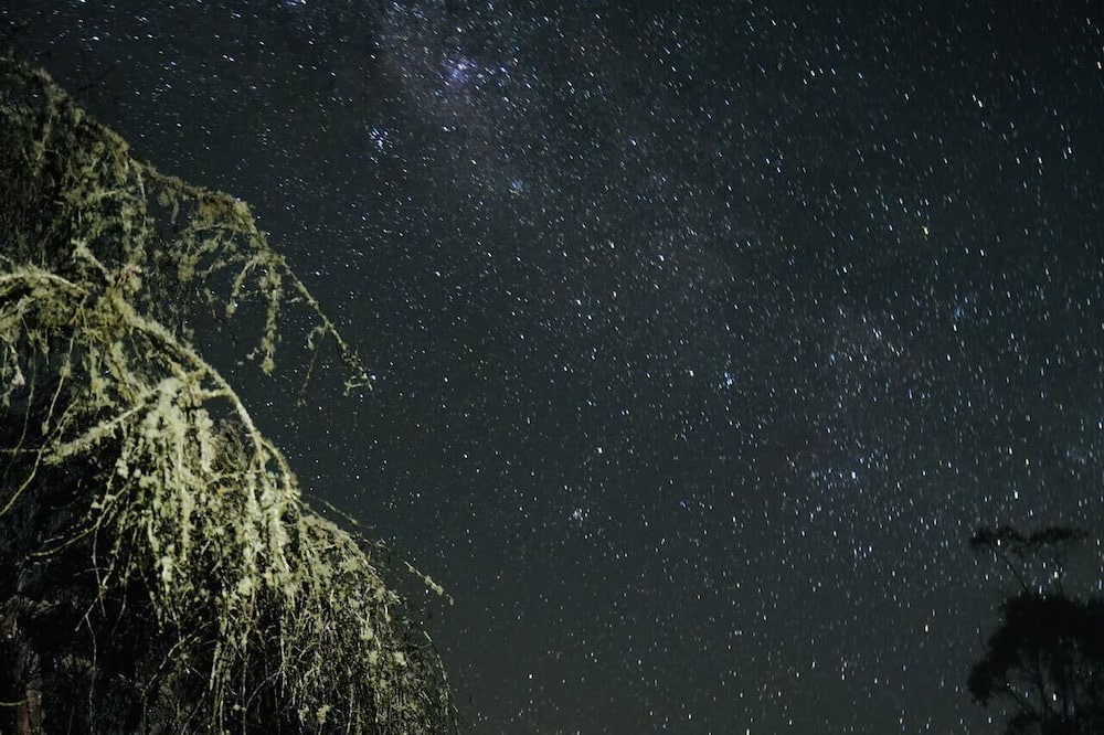 Photo of Outdoor in Burrawang