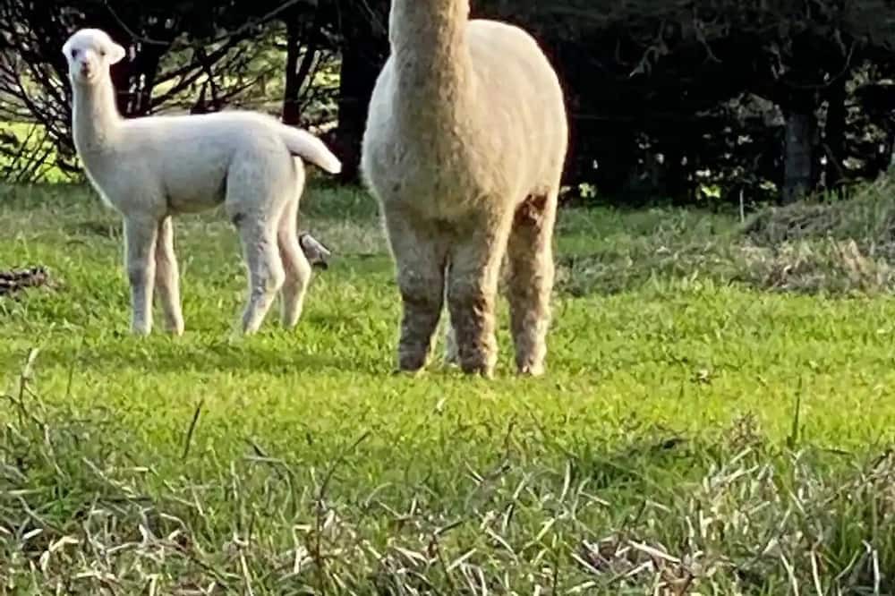 Photo of Outdoor in Burrawang