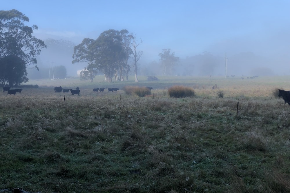 Photo of Others in Burrawang