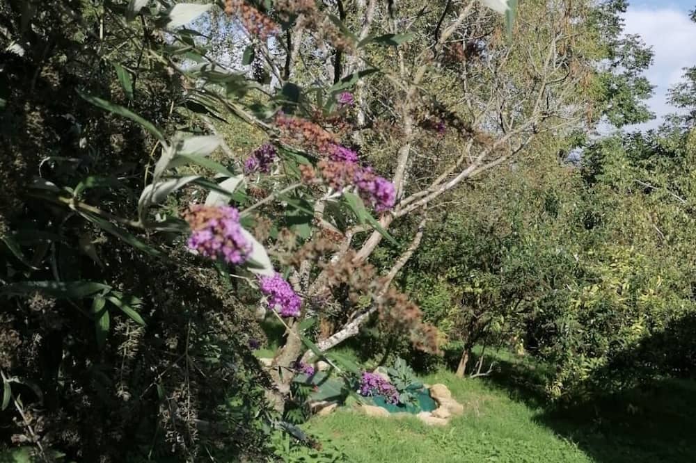 Photo of Outdoor in Chaux-Champagny