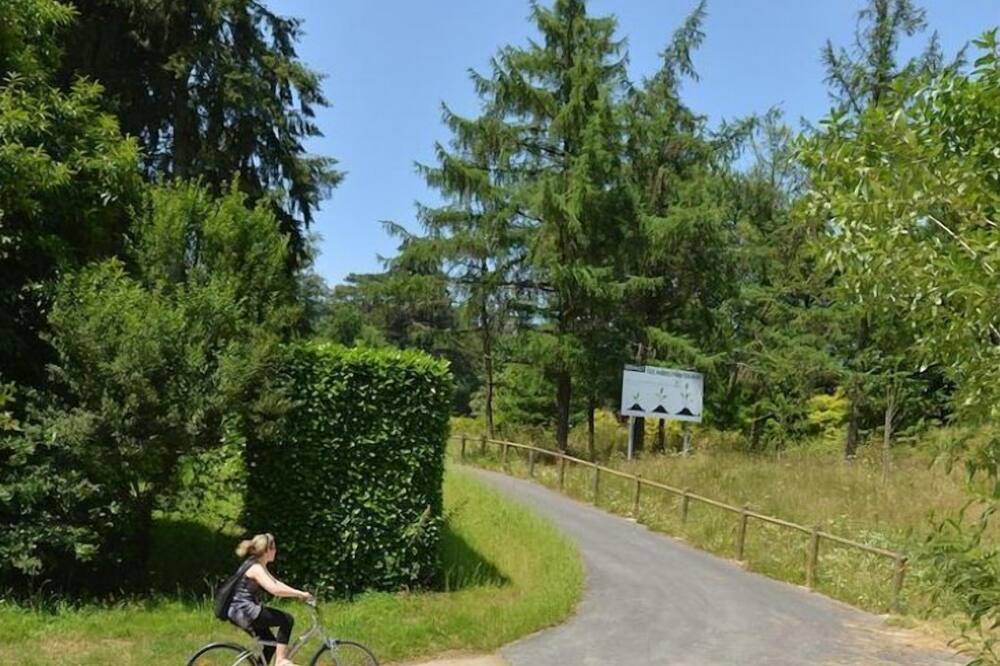 Photo of Outdoor in Pont du Cens-Cote d'Or