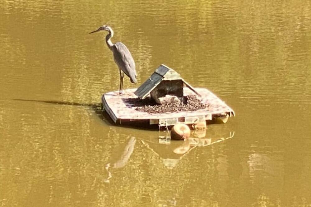 Photo of Others in Pont du Cens-Cote d'Or