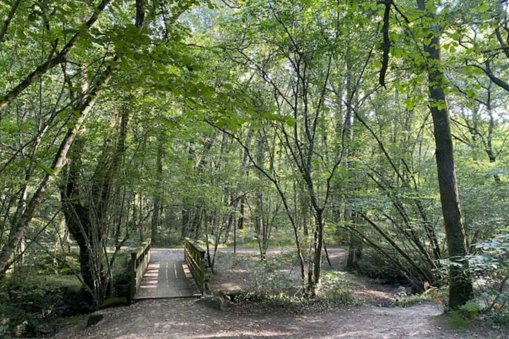 Photo of Outdoor in Pont du Cens-Cote d'Or
