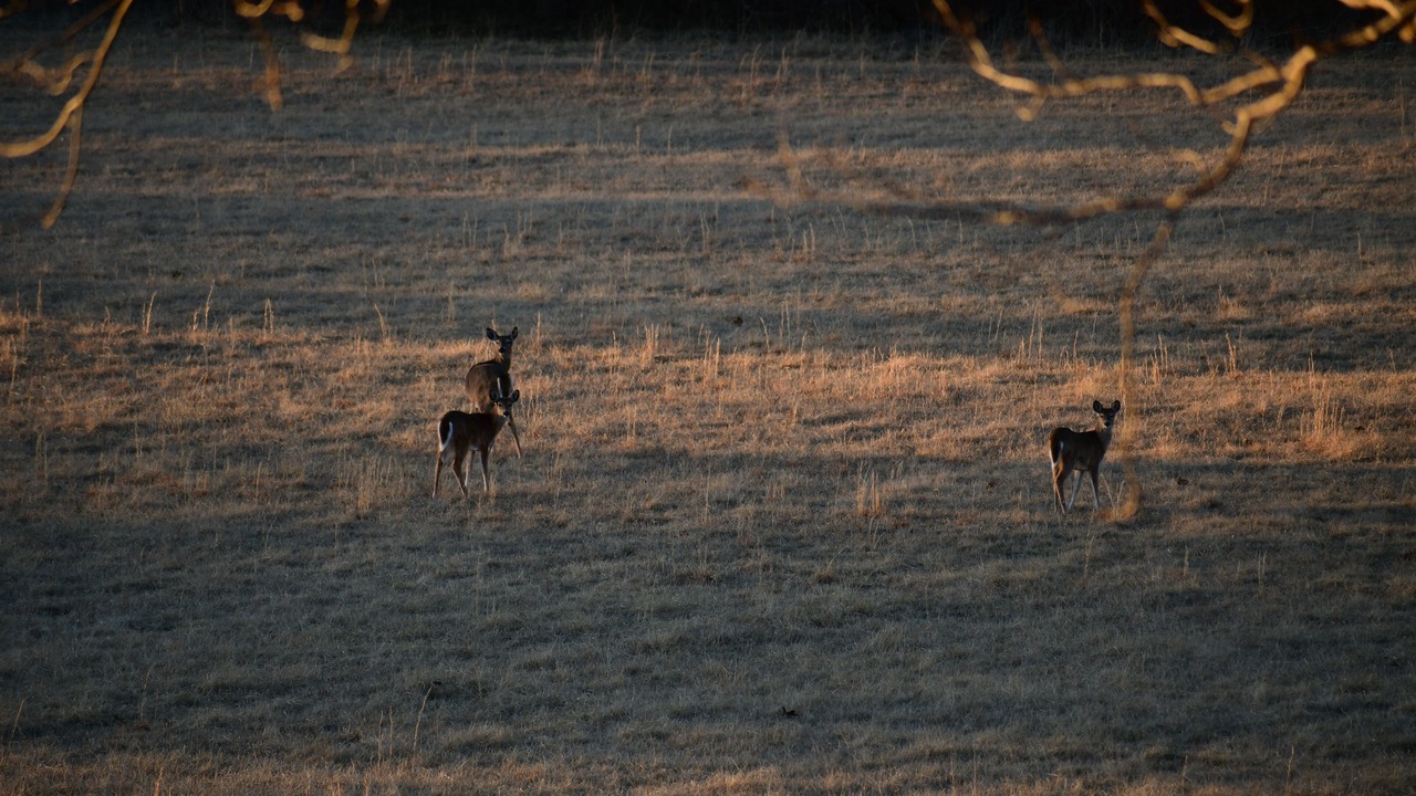 Photo of Others in Blackwell