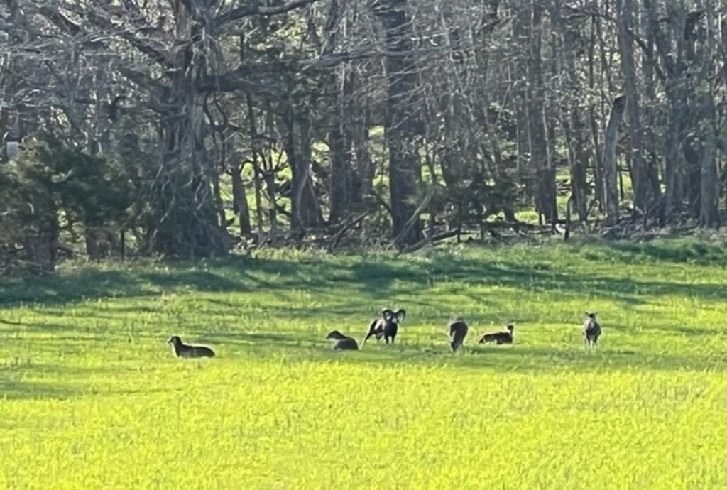 Photo of Others in Blackwell