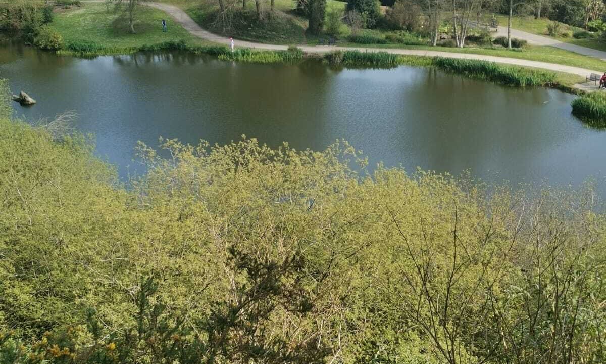 Photo of Others in Saint-Marc