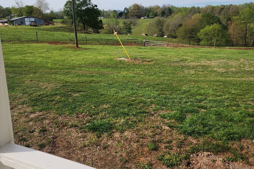 Photo of Outdoor in Traphill
