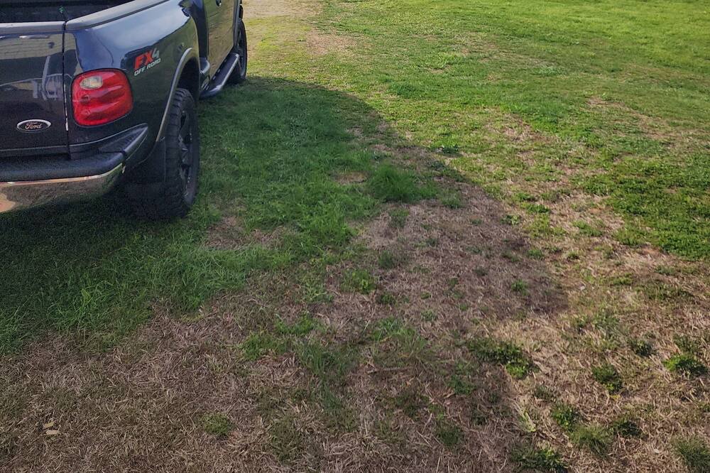 Photo of Outdoor in Traphill