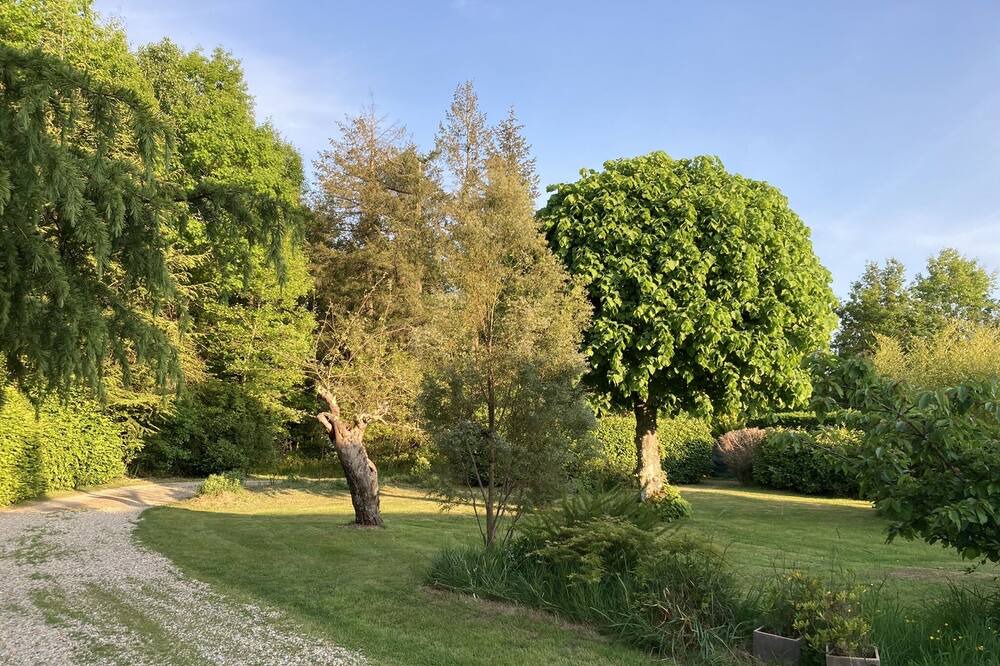 Photo of Outdoor in Neuvy-en-Sullias