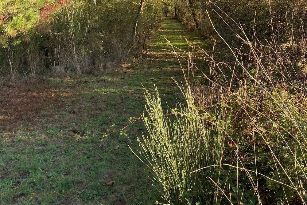 Photo of Outdoor in Neuvy-en-Sullias
