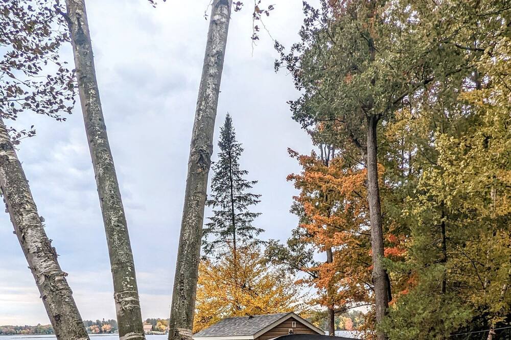 Photo of Others in Gravenhurst