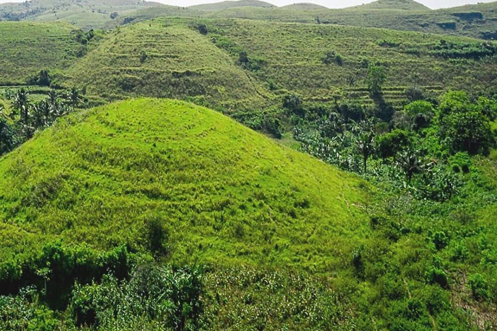 Photo of Others in Penida Island