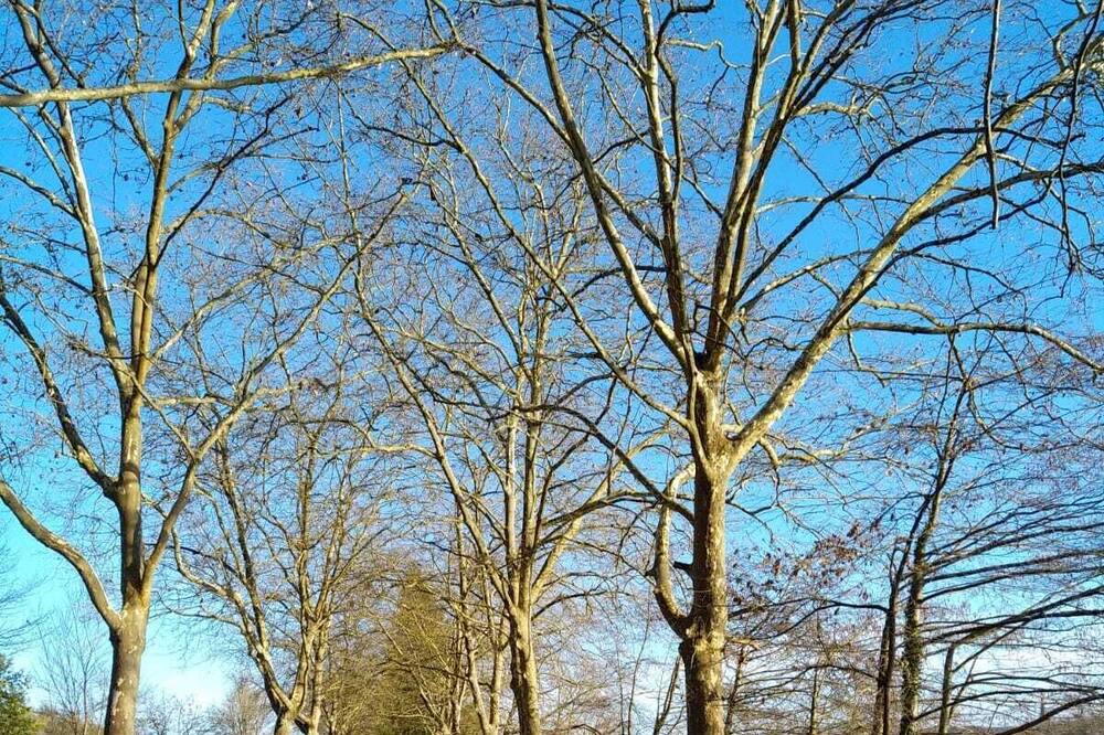 Photo of Outdoor in Marciac