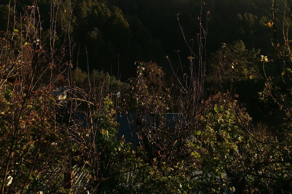 Photo of Outdoor in San Jose del Pacifico