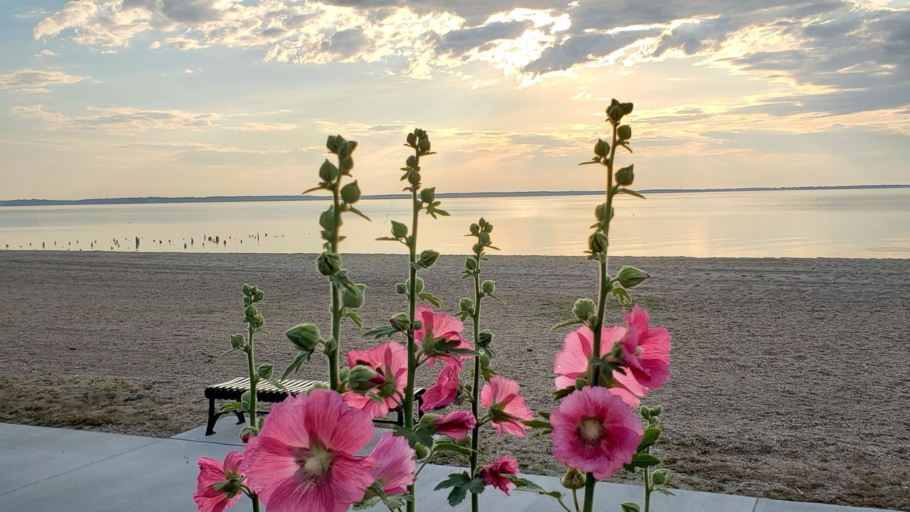 Photo of Outdoor in Issue