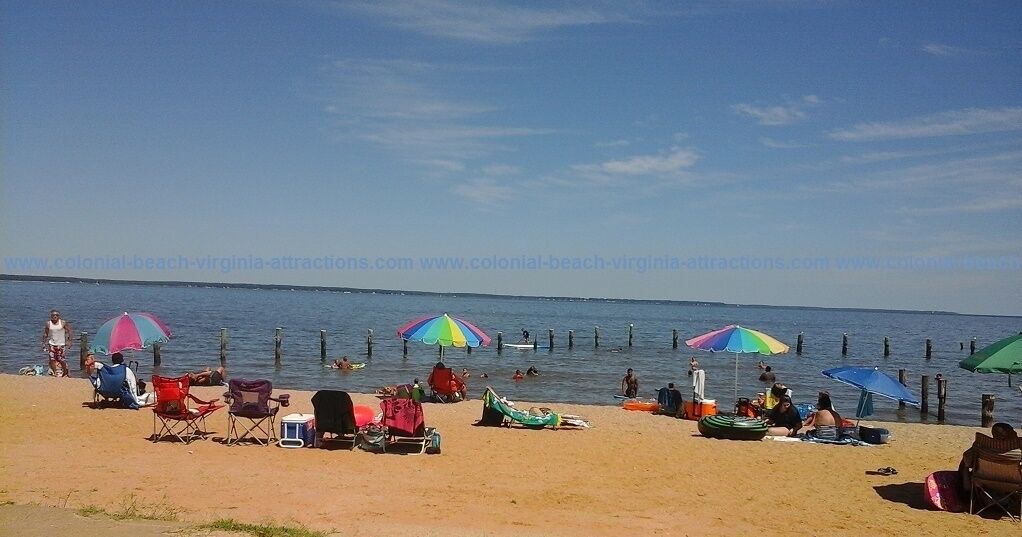 Photo of Others in Issue