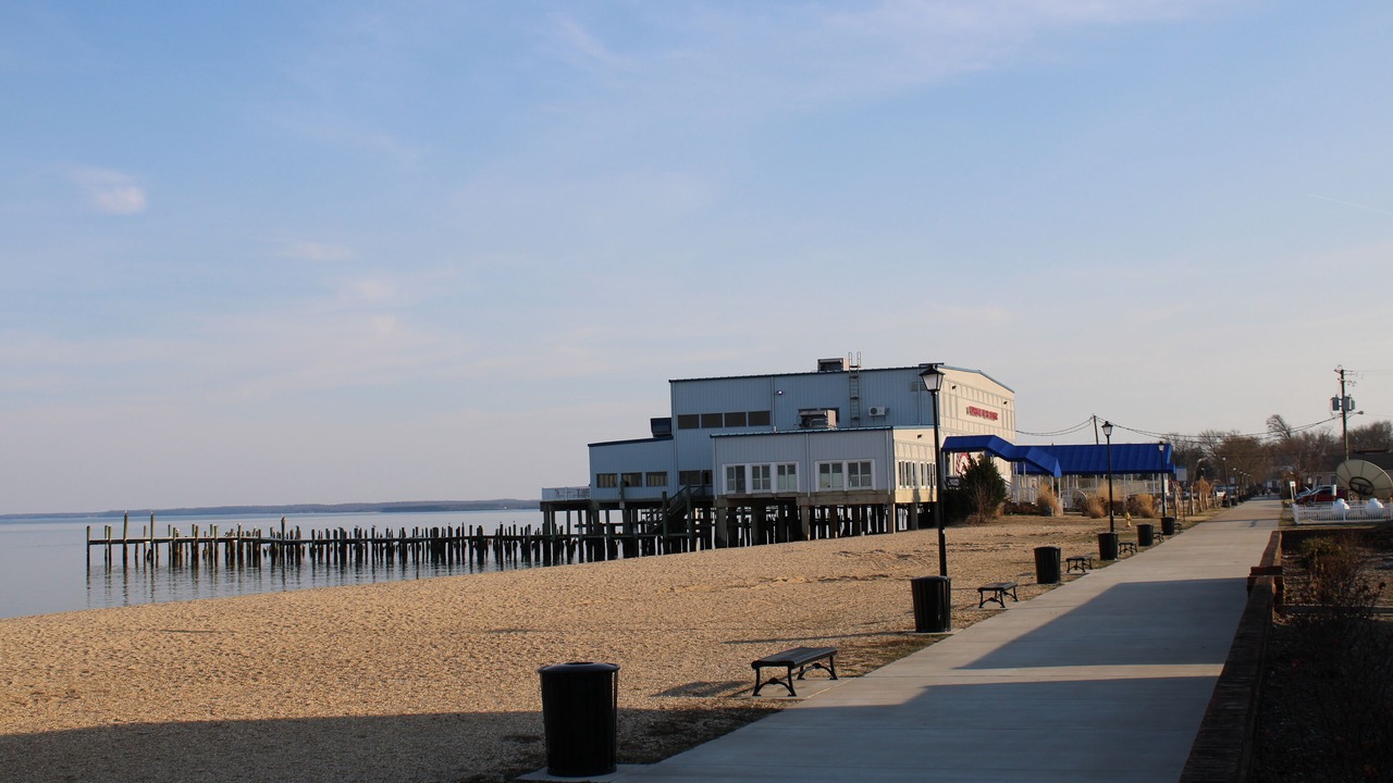 Photo of Others in Issue