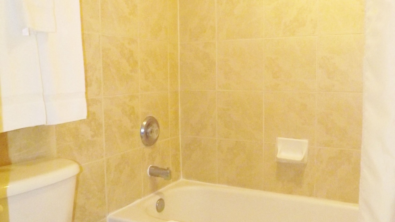 Photo of Others in Issue