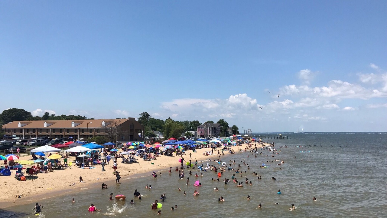 Photo of Others in Issue