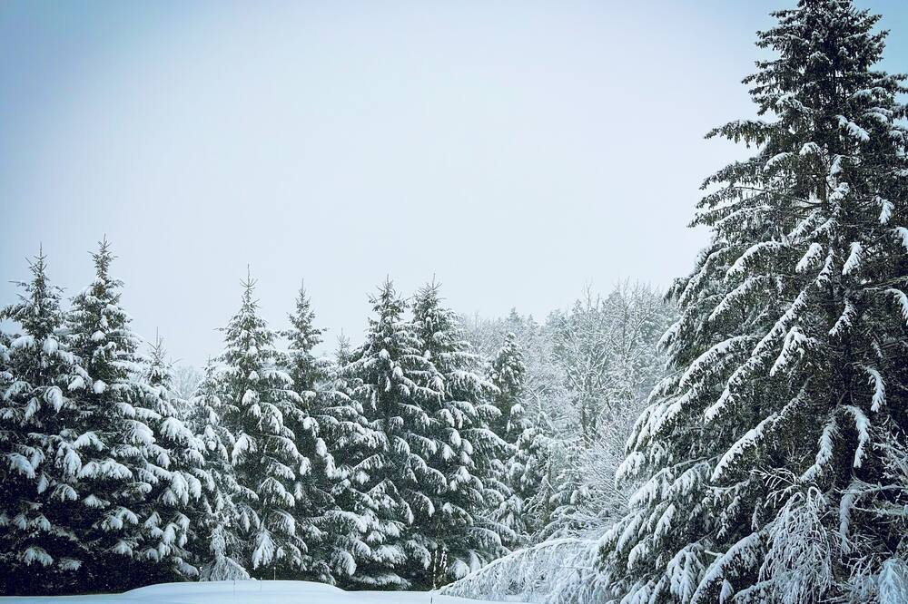 Photo of Others in Parksville