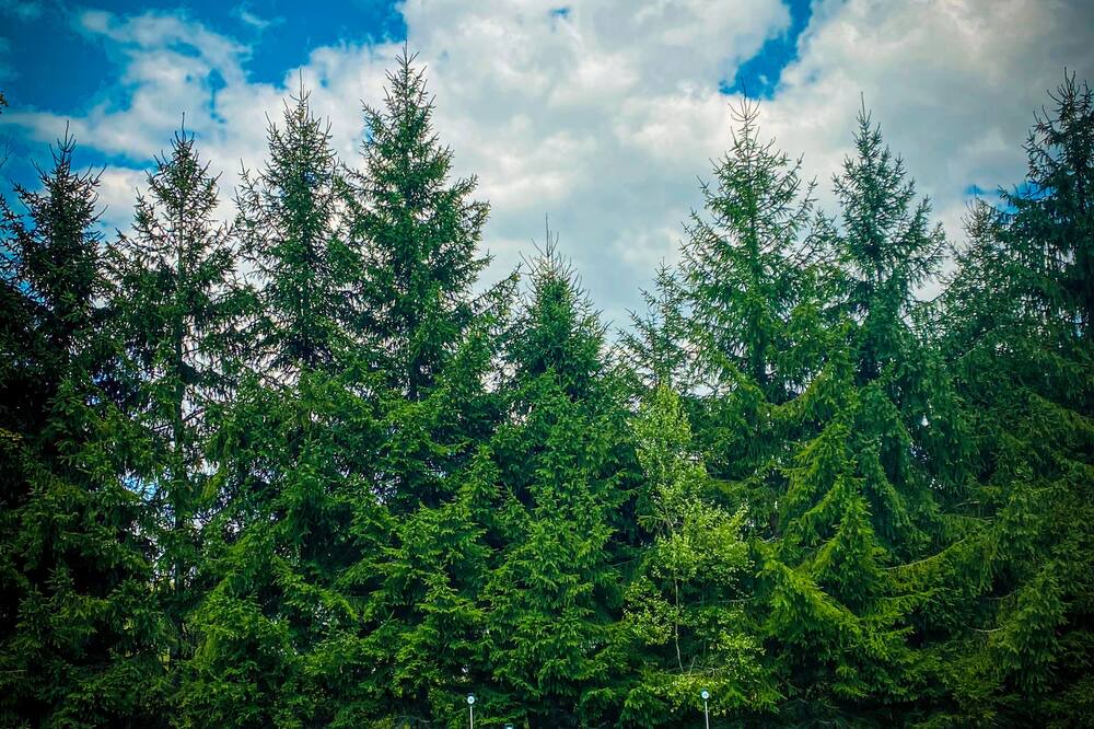 Photo of Others in Parksville