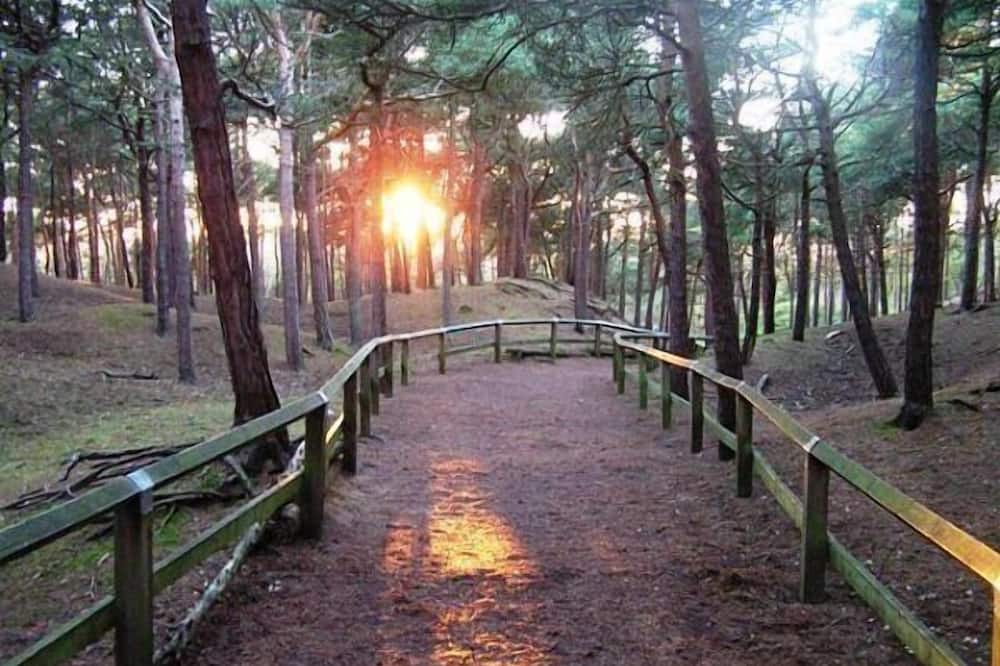 Photo of Others in Formby