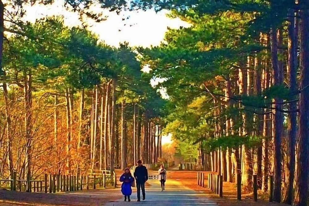 Photo of Others in Formby