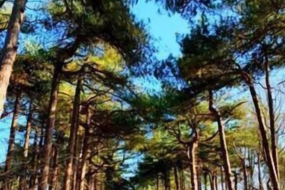 Photo of Others in Formby