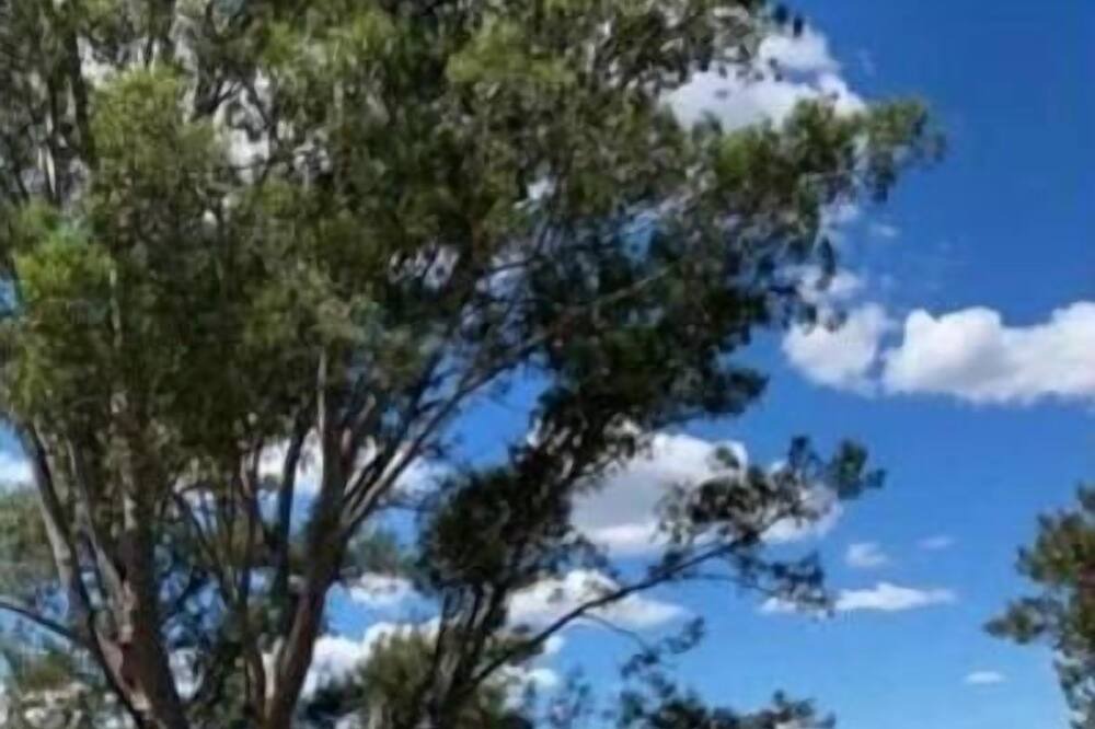 Photo of Outdoor in Yarramundi