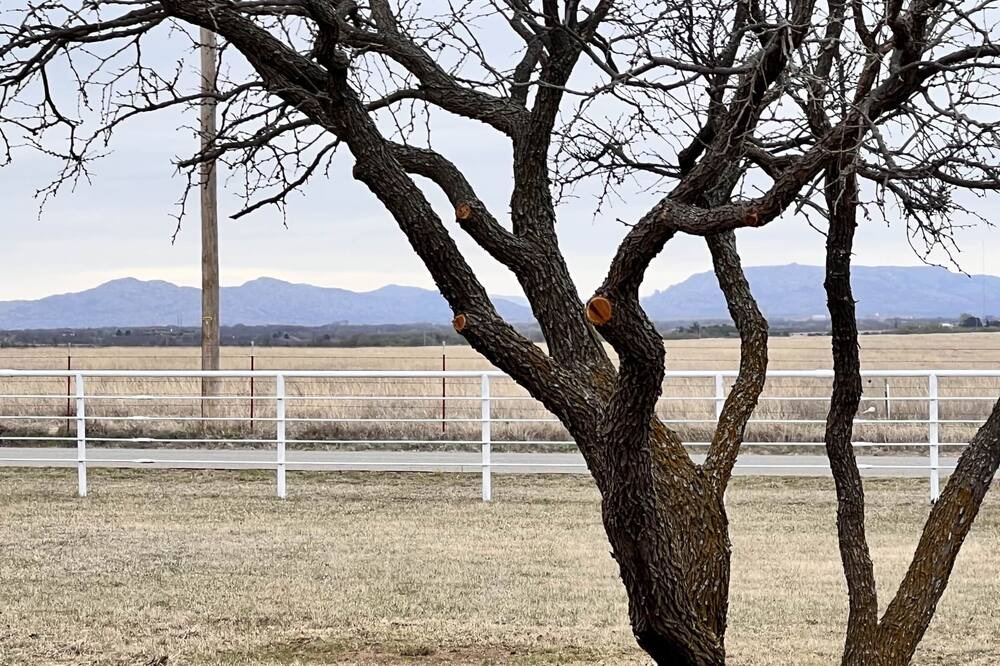 Photo of Others in Comanche County