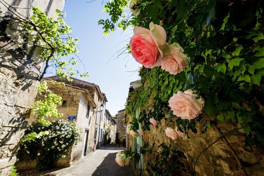 Photo of Outdoor in Besset