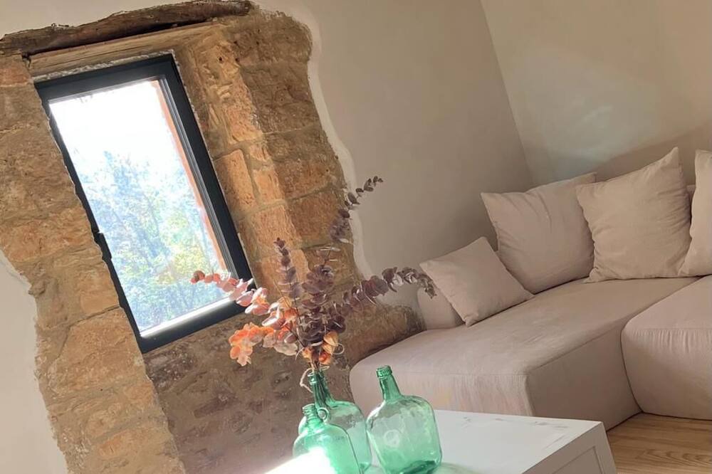 Photo of Livingroom in Saint-Laurent-la-Vallee