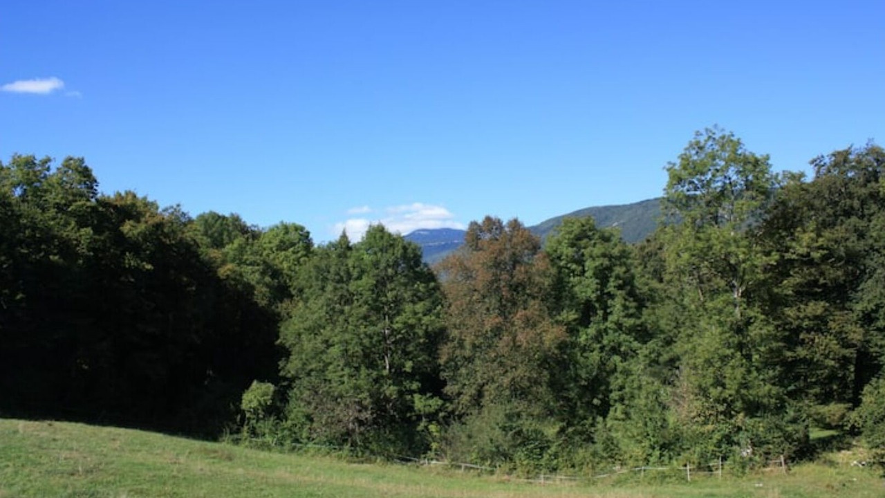 Photo of Others in Lepin-le-Lac