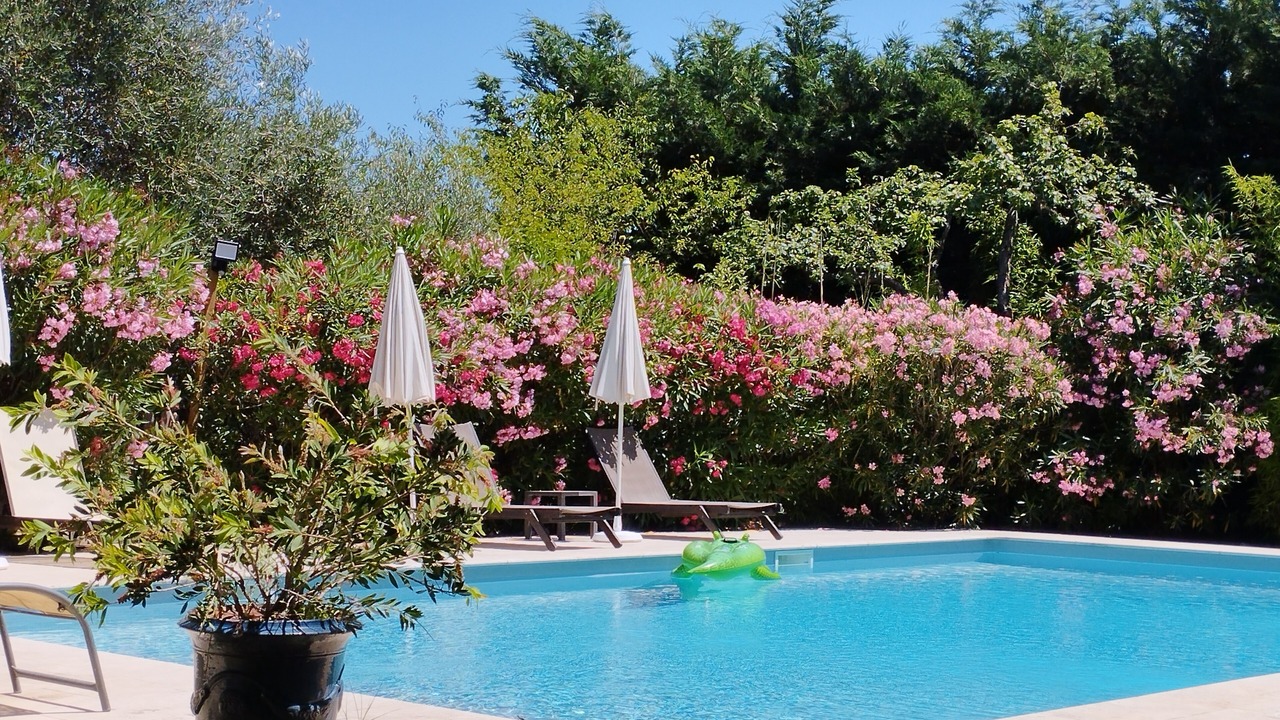Photo of Outdoor in Roujan