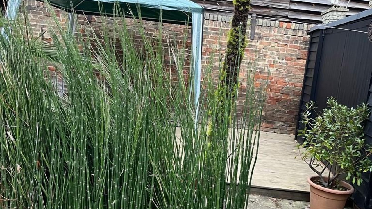 Photo of Outdoor in Cambridge