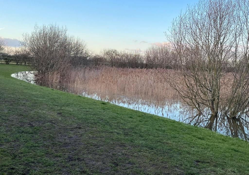 Photo of Outdoor in Cambridge