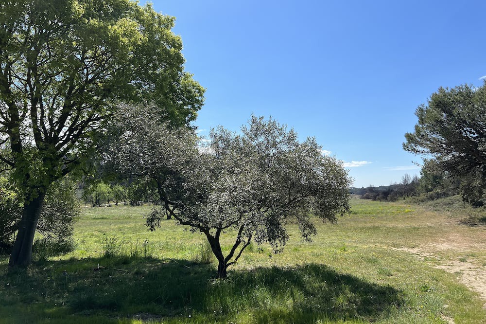 Photo of Outdoor in Barbentane