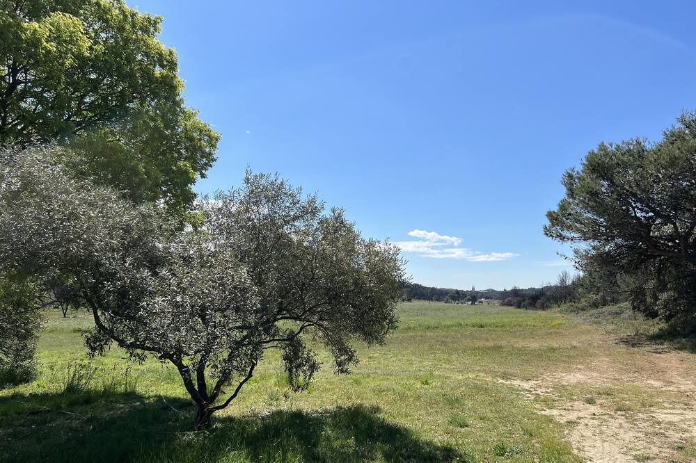 Photo of Others in Barbentane