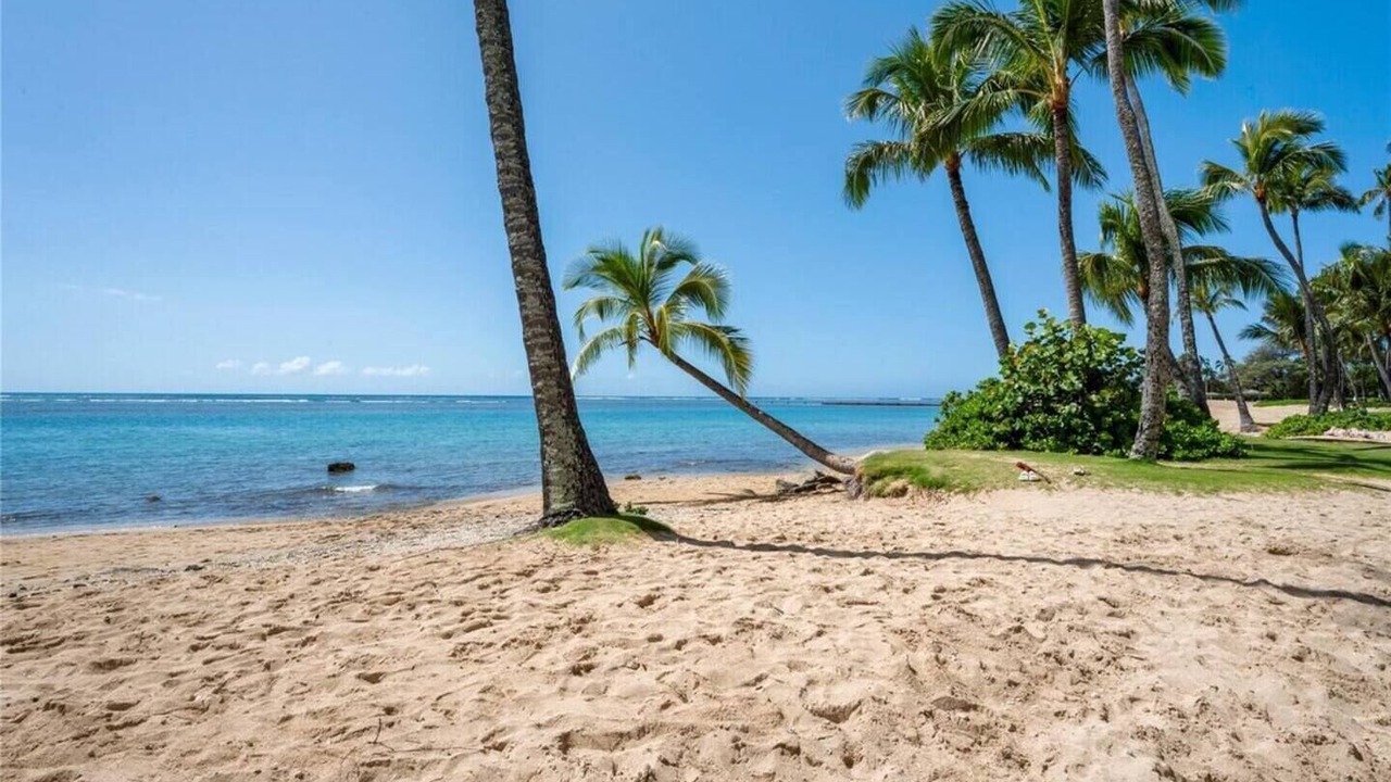 Photo of Others in Kahala