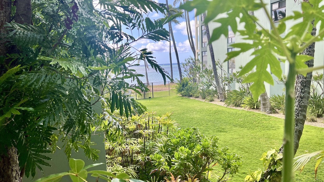 Photo of Outdoor in Kahala